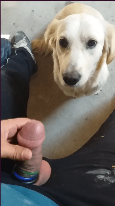 狗在极其淫秽的裸照场景中舔男人的大阴茎 海报