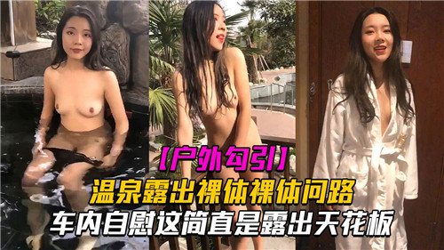 户外勾引温泉露出裸体问路车内自慰这简直是露出天花板 海报