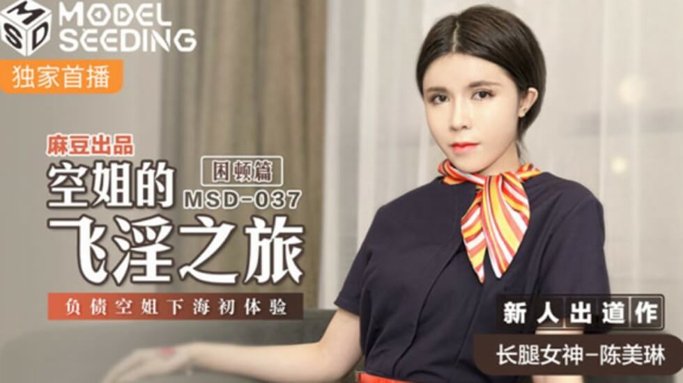 麻豆航空风情：负债空姐陈美琳下海初体验，高空激情飞行之旅 海报