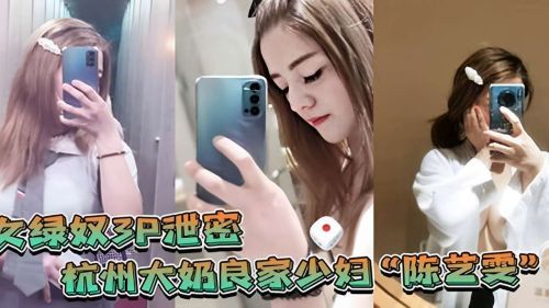 绿奴3P泄密杭州大奶良家少妇 海报