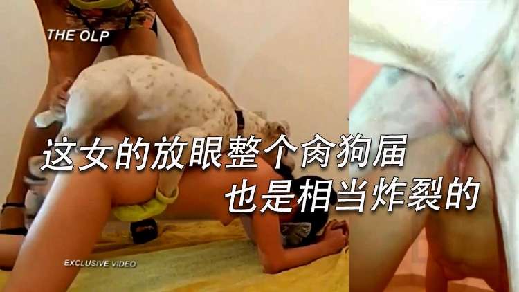 狗哥骑马肉母狗极限大挑战 海报
