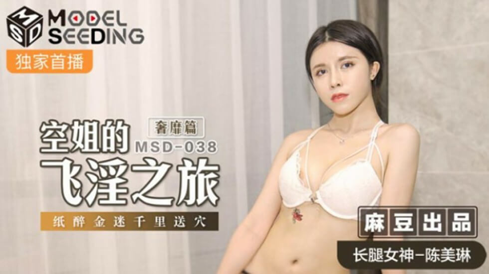 麻豆-空姐的飞淫之旅奢靡篇纸醉金迷千里送穴-陈美琳 海报