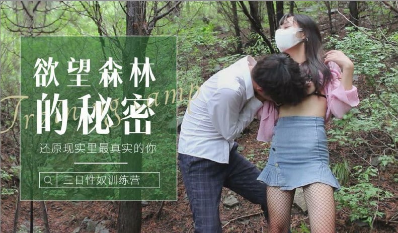 森林的秘密-还原现实里最真实的你的! 海报