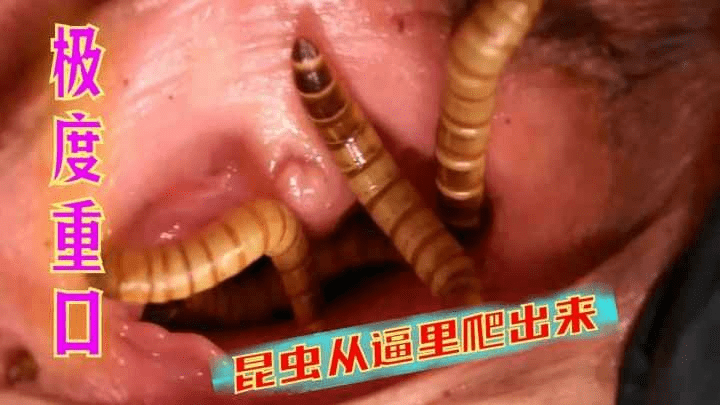 【超级昆虫】虫子从小逼里爬出来 海报
