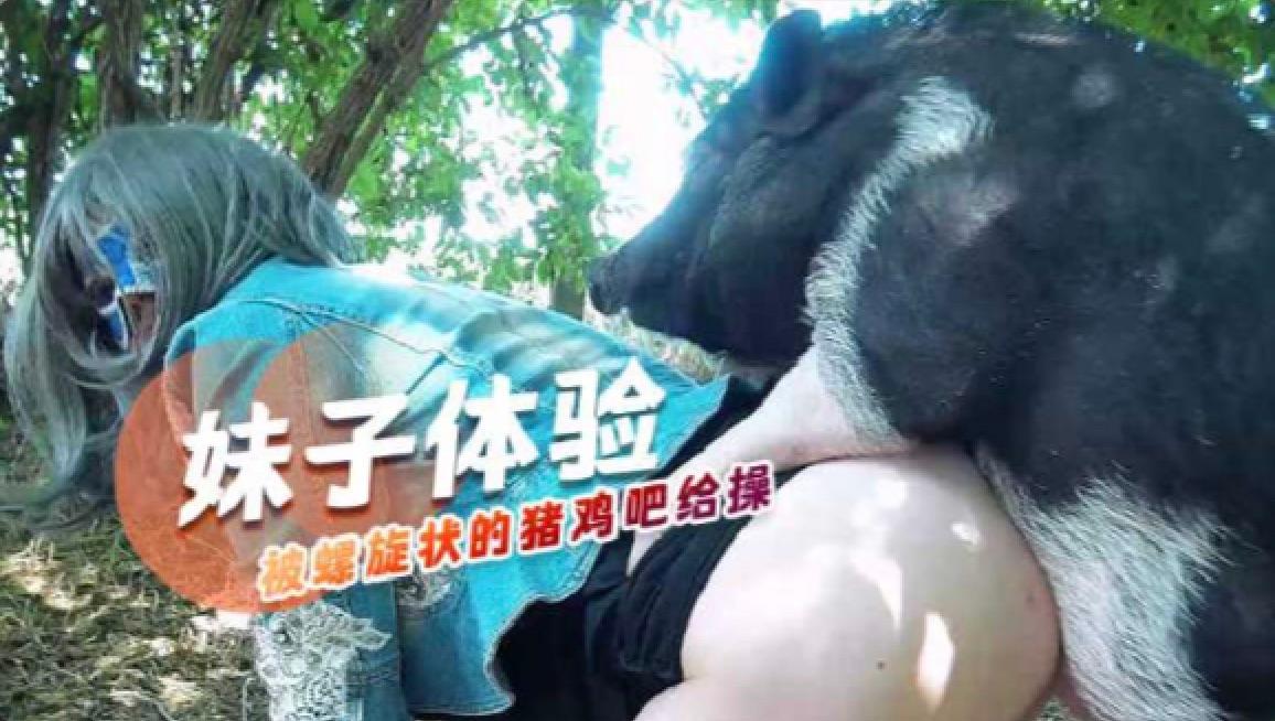 体验被螺旋状的小小猪鸡巴给操 海报