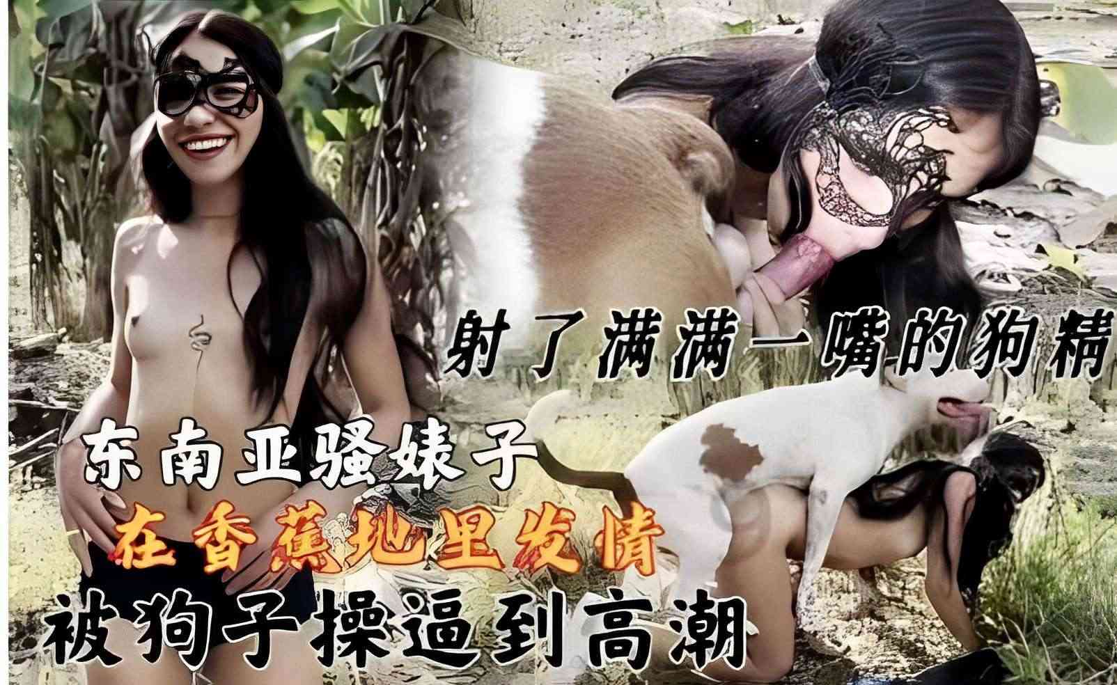 在香蕉地李发情被狗子操逼到高潮 海报