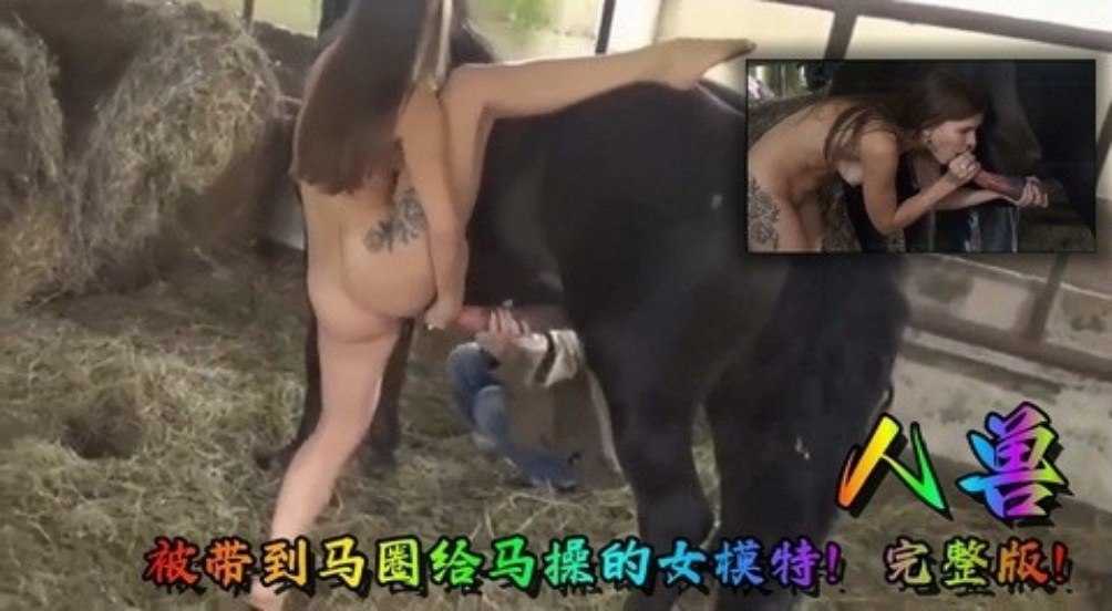 【人兽乱伦】少妇被调教和马性交 海报