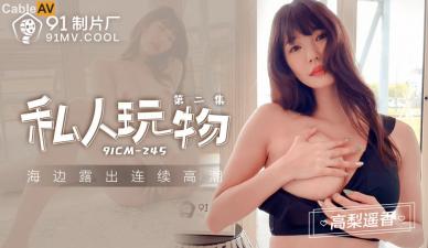 国产AV91CM245私人玩物2高梨遥香的啊! 海报