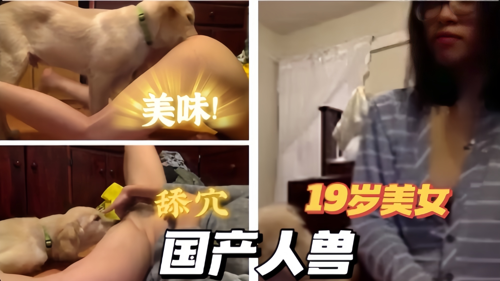 【人狗乱伦】国产19岁与狗和大黄狗在家 海报