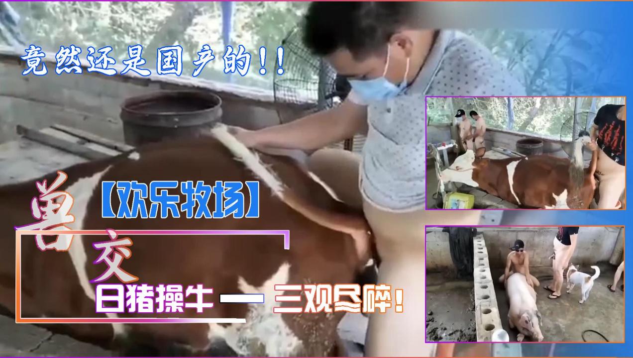 【国产人兽】欢乐牧场日猪操牛三观尽碎 海报