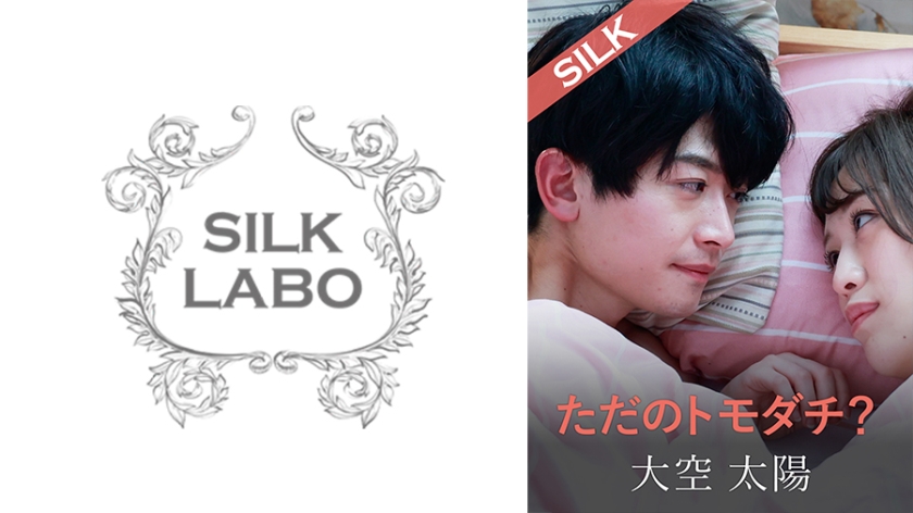 220SILKS-104 ただのトモダチ？ 海报