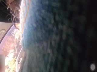 【校园哄骗门事件】禽兽老师哄骗高中生车震口爆！. 海报