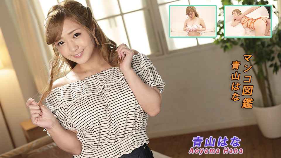 Heydouga -PPV 青山はな – ダイナマイト 海报