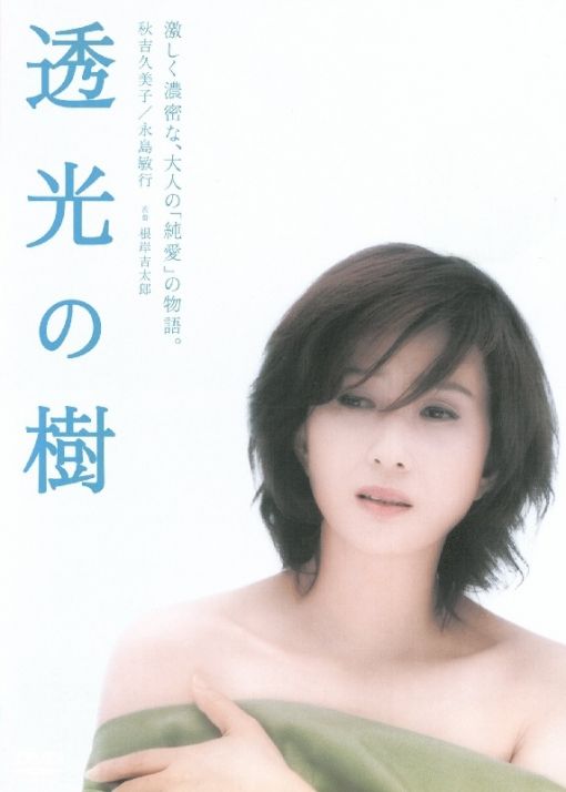 透光的树 海报