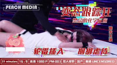 麻豆X蜜桃变态跟踪狂 海报