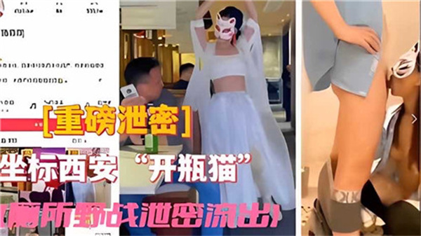 【完整流出】猫系美少女厕所野战偷拍泄密！野性交尾激情四射 海报