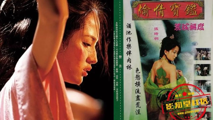【香港】偷情宝鉴-侠骨淫心 海报