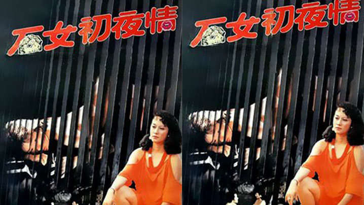 【香港】石女初夜情_摩登女性 （1985） 海报