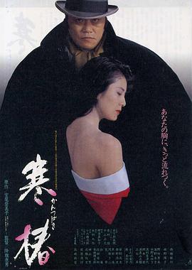寒椿 海报