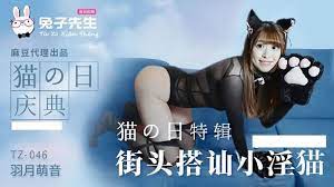 兔子先生TZ-046街頭搭訕小淫貓 海报
