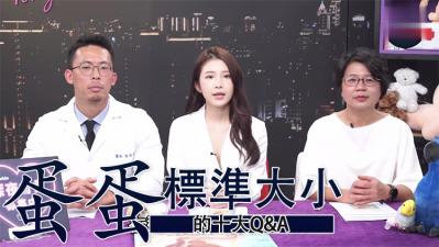 蛋蛋十大QA标准大小 海报