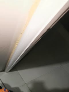 私拍泄密流出_老婆在睡觉_跟她闺蜜在厕所偷情. 海报
