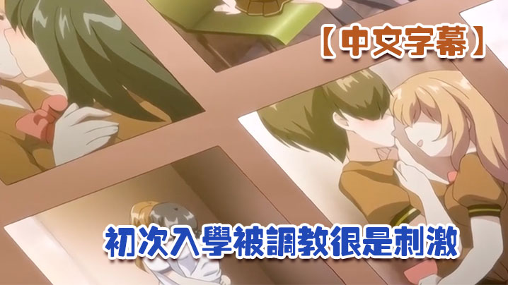 【中文字幕】初次入学被调教很是刺激 海报