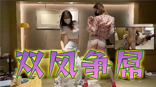双凤争屌 海报