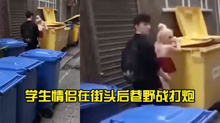 学生情侣在街头后巷野战打炮 海报