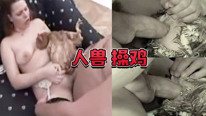 人兽 操鸡 操鸡屁眼是什么感觉 海报