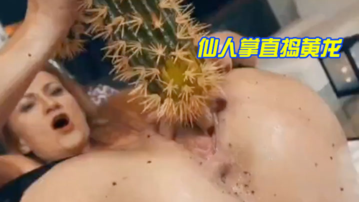 仙.人掌.直捣黄 海报