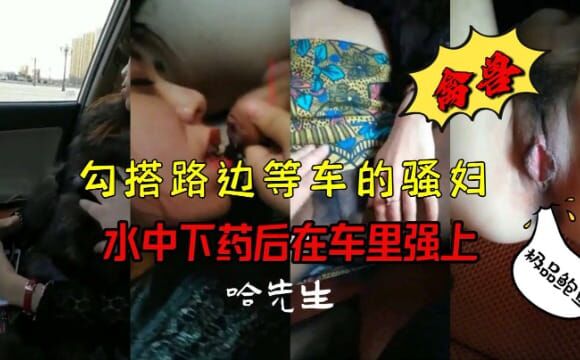 禽兽！勾搭路边等车的骚妇，水中下药后在车里强上！ 海报