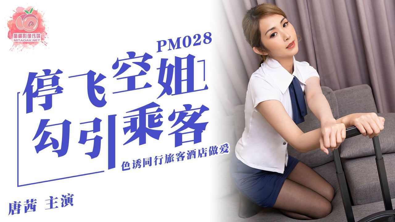 【蜜桃传媒】PM02 停飞空姐色诱旅客 海报