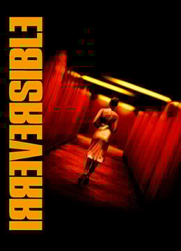 不可撤销.Irreversible.2002.FR.BluRay.1920x856p.x264.AC3-KOOK.[中英双字] 海报