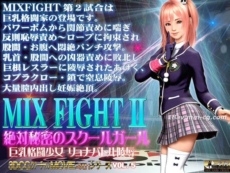 [3D]MIX FIGHT2絶対秘密のスクールガール 海报
