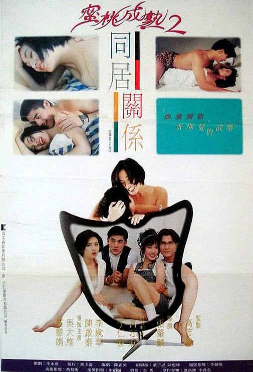 同居关系 海报