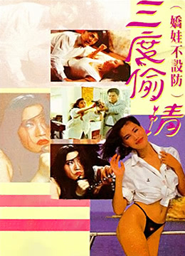 三度偷情 海报