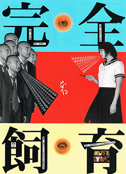 禁室培欲 海报