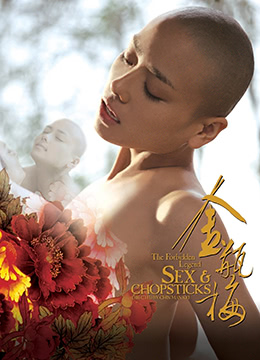 金瓶梅TheForbiddenLegendSexandChopsticks2008 海报