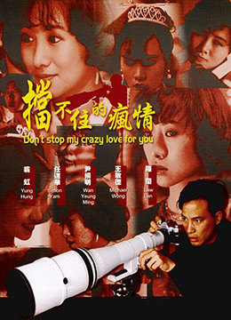 挡不住的疯情DontStopCrazyLoveforYou1993国粤双语中字 海报