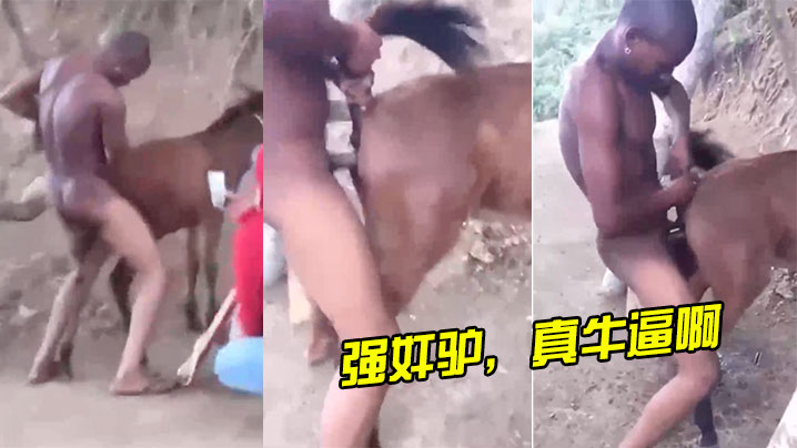 强奸驴，真牛逼啊 海报