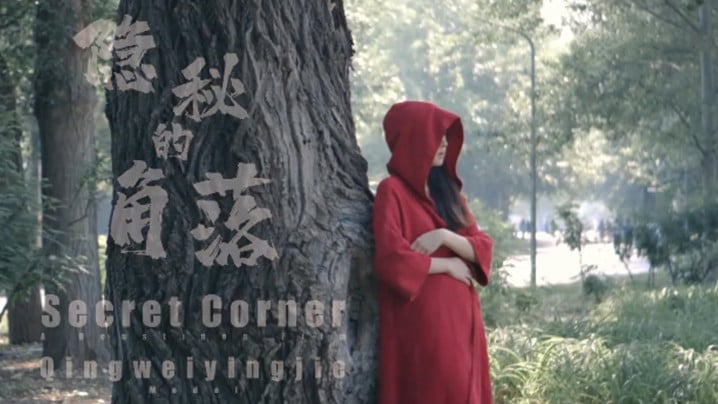 【捷哥作品】《隐秘的角落》网红“北京天使”公园全裸露出! 海报