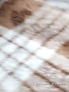 年轻小情侣_啪啪_20210209 海报