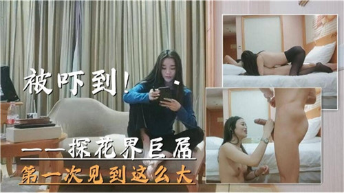 探花界巨屌第一次见到这么大被吓到 海报