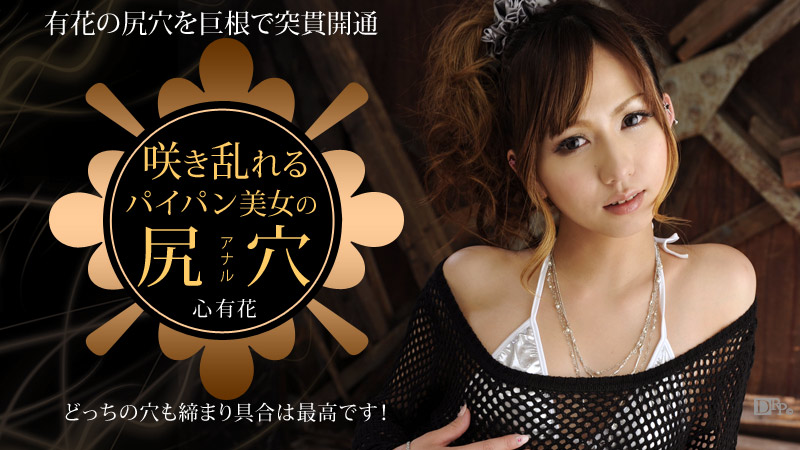 加勒比012913-249 咲き乱れるパイパン美女の尻穴 心有花 海报
