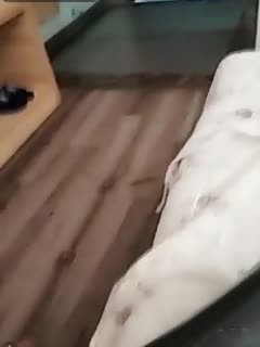 【在线】清纯小美眉公园搭讪玩手游小哥到小旅馆啪啪直播妹子搞得人有点杂 海报