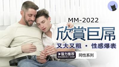 无套抽插觉醒 海报
