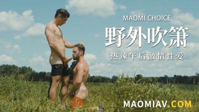 野外激战的骑士 海报