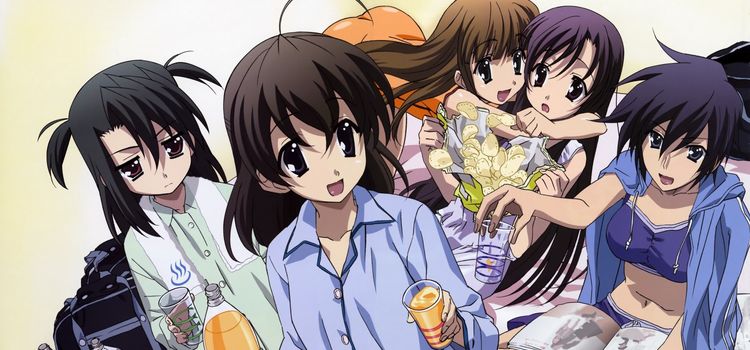 [EggPainStudio] School Days Creditless ED ver.8 (BDrip 1920x1080 AVC-YUV420P10 FLAC) 海报