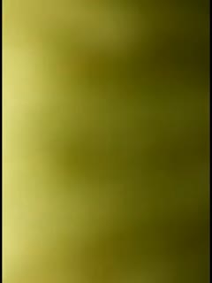韩国可爱大学生妹子周末在宿舍给男朋友卖力口爆 最后压在身下爆操 呻吟动听 海报